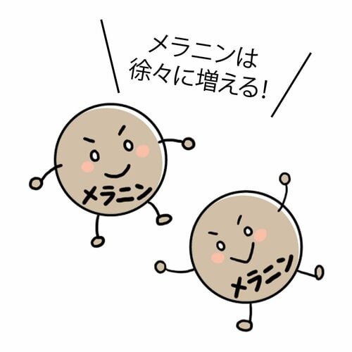A.メラニンが増えるのは3〜4日後から 美白パックおすすめ イメージ