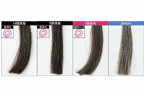 洗髪し続けても落ちにくい! LDKベストバイ2025おすすめ イメージ