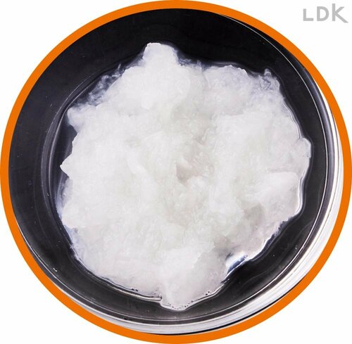 大根おろし器おすすめ 和田商店 プロおろしX イメージ2