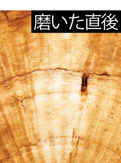 ホワイトニング力：白い箇所が明快 紫歯磨き粉おすすめ イメージ