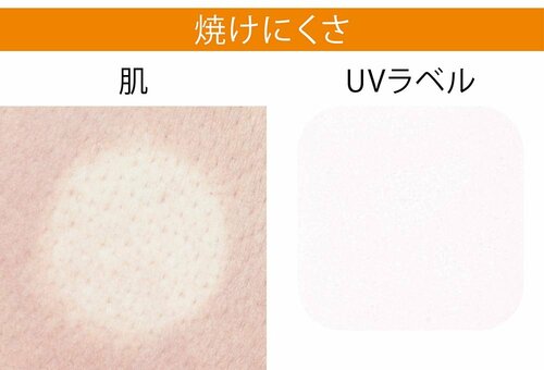 検証1:焼けにくさ