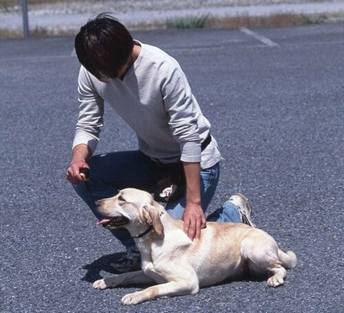 ベストポイントを心得てうっとりスキンシップ♪ イメージ2