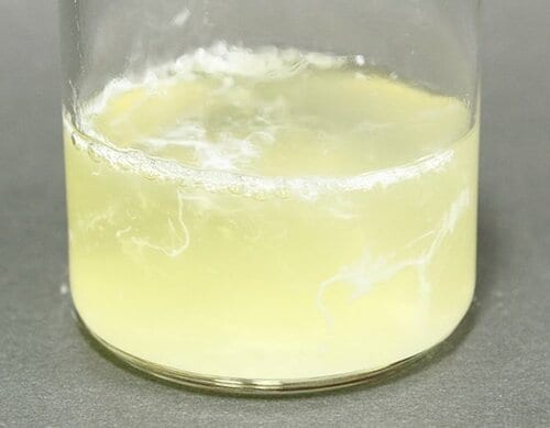 D評価: 【D評価】洗浄力アップの弊害？ 濁りの強いキュキュット イメージ