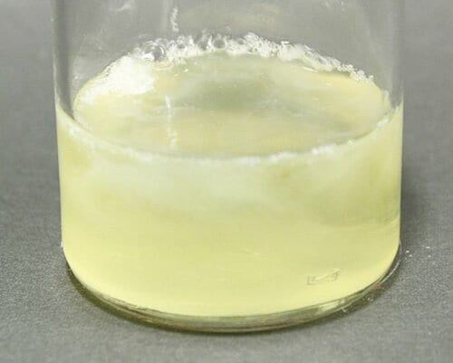 【B評価】安心して使える CHARMY Magica イメージ