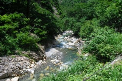 釣り場1:川の上流部