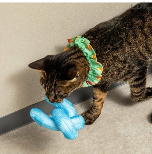 またたびが中に入っている 猫用おもちゃおすすめ イメージ
