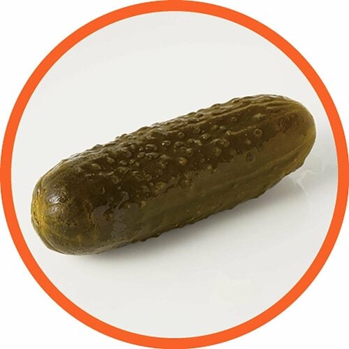 ピクルスおすすめ キューネ ディルピクルス イメージ2