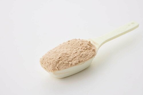 ソイプロテインおすすめ グロング ソイプロテイン ココア風味 イメージ2