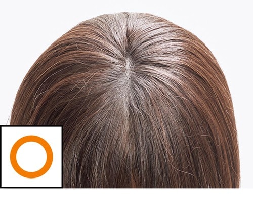 【仕上がり】 増毛パウダーおすすめ イメージ