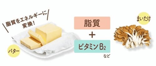 糖・たんぱく質・脂質のエネルギー変換をサポート スチーム調味料おすすめ イメージ2