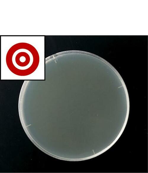 コスパの良さはNO.2！ピュアソン「ジアのチカラ」 イメージ2