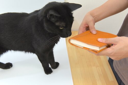 4位: サイフ工房ANDOU 文庫本カバー イメージ4
