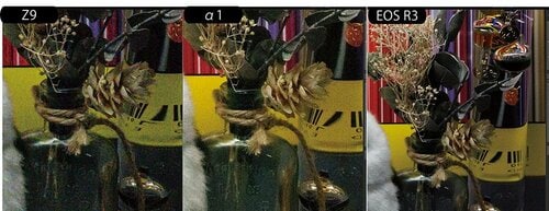 高感度撮影:キヤノンとソニーが優位 イメージ2