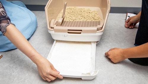 シーツをササッと取り替えられる! 猫用トイレおすすめ イメージ