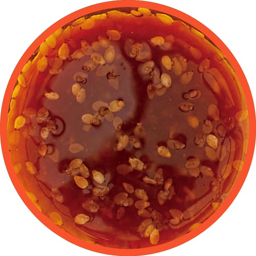 焼肉のたれおすすめ 創味食品 創味 焼肉のたれ初代 イメージ2