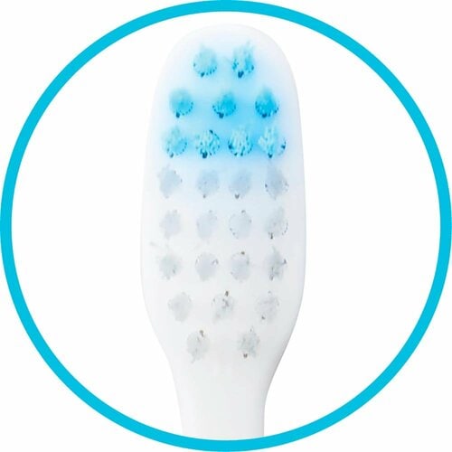 歯ブラシおすすめ 情熱価格 2WAYブラシ ふつう イメージ3