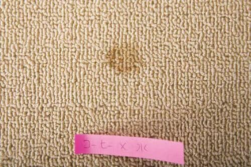 コーヒーオレンジジュースは洗剤なしでOK イメージ