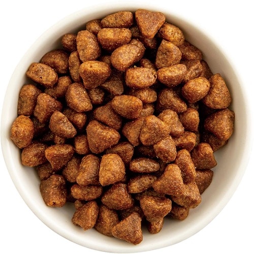 猫用ドライフードおすすめ Suga Japan ブラバンソンヌ 成猫用 チキン イメージ2