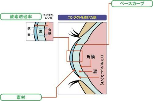 チェックすべき3項目、酸素透過性・素材・ベースカーブとは? ワンデーコンタクトレンズおすすめ イメージ