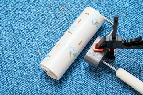コスパがいい!使いやすさでも上位に。でもカットしやすいかには疑問も 粘着クリーナーおすすめ イメージ