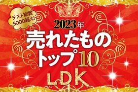 【2023年】LDKで売れたものトップ10！一番買われたベストバイは!?