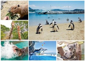 【プロ厳選】九州の動物園・水族館おすすめランキング9選｜デートや家族で行きたい人気スポットを紹介