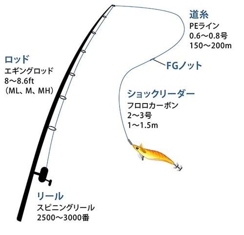 初心者でも手軽に始められる「エギング」
