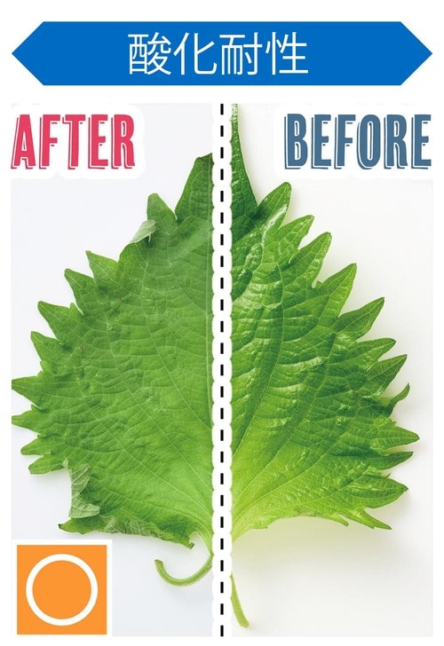 酸化耐性 キッチンポリ袋おすすめ イメージ