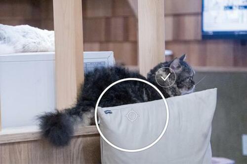 アドビ「Lightroom」使用7