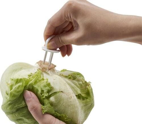 C評価: セリア「茎に刺すだけ！野菜フレッシュキーパー」 イメージ