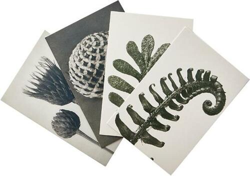 IKEA「イレヴァード アートカード」