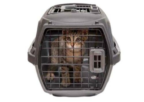 安くても欠点なし！ ペティオの2ドアタイプ イメージ3