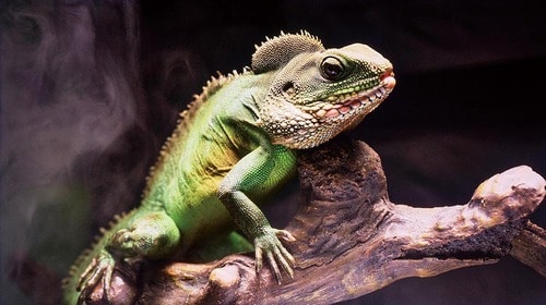 【HDR】色味が薄くて立体感にかける miniLEDテレビおすすめ イメージ