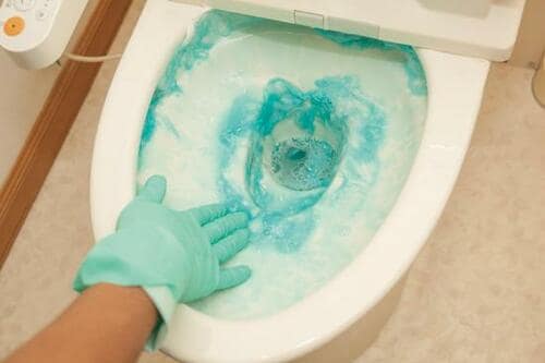 ステップ2:便器の中をパックする イメージ