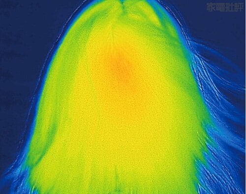 熱分布 高級ドライヤーおすすめ イメージ