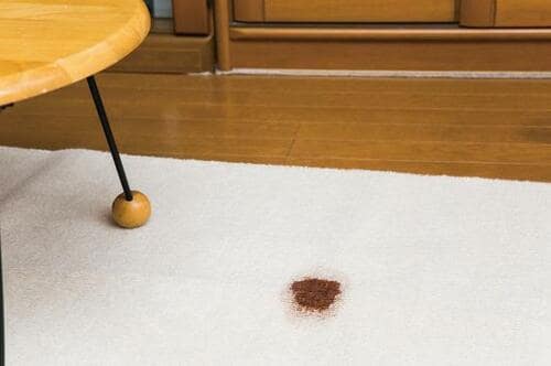 汚れ落としのメカニズム：汚れをぞうきんに移動させる イメージ2