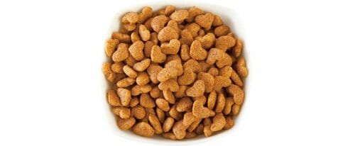 11位: 【55点】ビタミン強化で栄養が充実するも子ネコたちには不人気 イメージ2