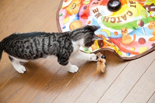 予測不可能な動きでネコの狩猟本能を刺激！ 猫用おもちゃおすすめ イメージ2