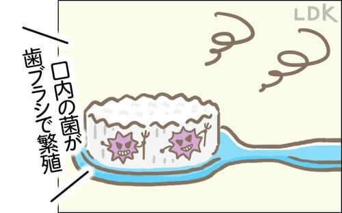 歯ブラシはどのくらいの頻度で交換すればいいですか？ 歯ブラシおすすめ イメージ2