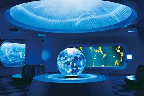 ファミリーにもカップルにもオススメ「新江ノ島水族館」