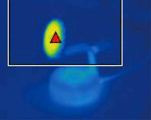 発熱具合 イメージ2