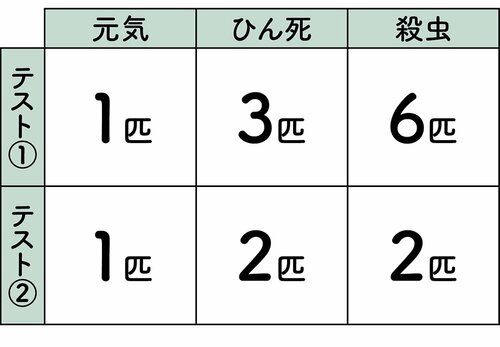 結果 イメージ