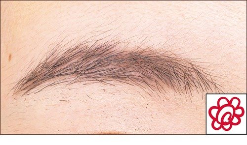 仕上がり：髪色問わずなじむ万能カラーで自然な眉に イメージ2