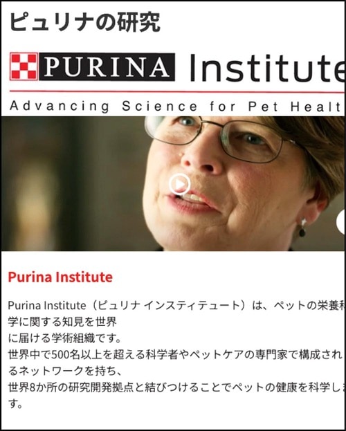 信頼性 猫用ドライフードおすすめ イメージ