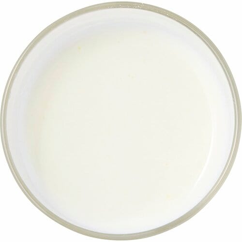 大人向け粉ミルクおすすめ 伊藤忠食品 からだスイッチ おとなのミルク習慣プレミアム イメージ3