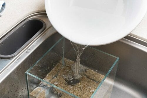 お魚と水草を目の前で楽しめる イメージ3