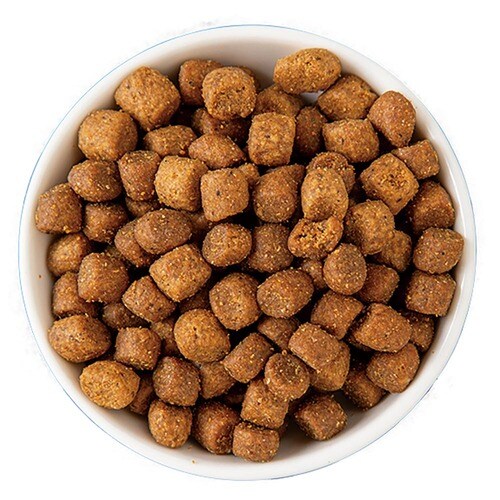 グレインフリーキャットフードおすすめ マルカン ナチュラハ グレインフリーチキン イメージ2