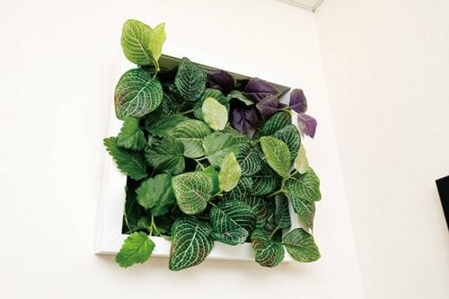 フレームとアートプラントの組み合わせがおしゃれポイント！ イメージ