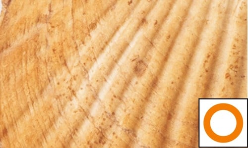 即効ホワイトニング力 ホワイトニングジェルおすすめ イメージ