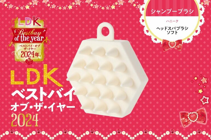 この肌あたりがたまらん！ シャンプーのたびに使いたい頭皮ブラシはハニーク【LDKベストバイ】